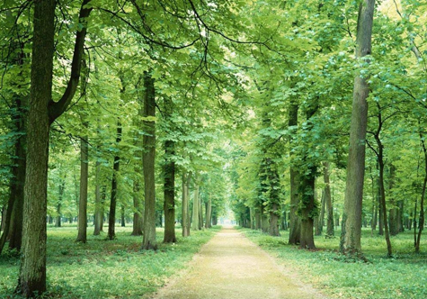 仟億達(dá)碳交易，讓林農(nóng)愛(ài)上植樹(shù)“賣空氣”